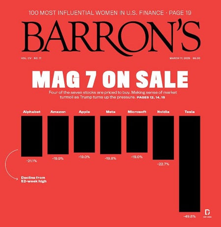 MAG 7 ON SALE | Barron's, March 17, 2025