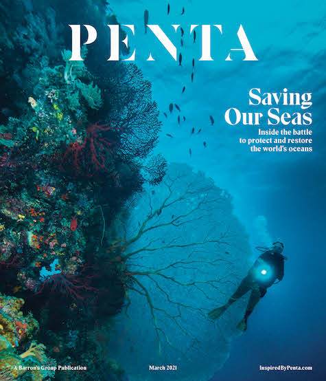 Saving Our Seas | Penta, March 2021